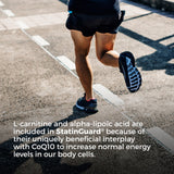 CoQ10, L-carnitine, alpha-Lipoic acid and Vitamin E - StatinGuard®