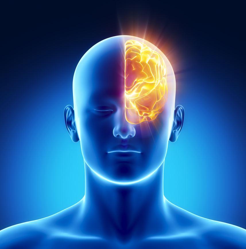 In 2050 more than 150 million suffering from Dementia? How to work against this... - VitalRemedyMD 