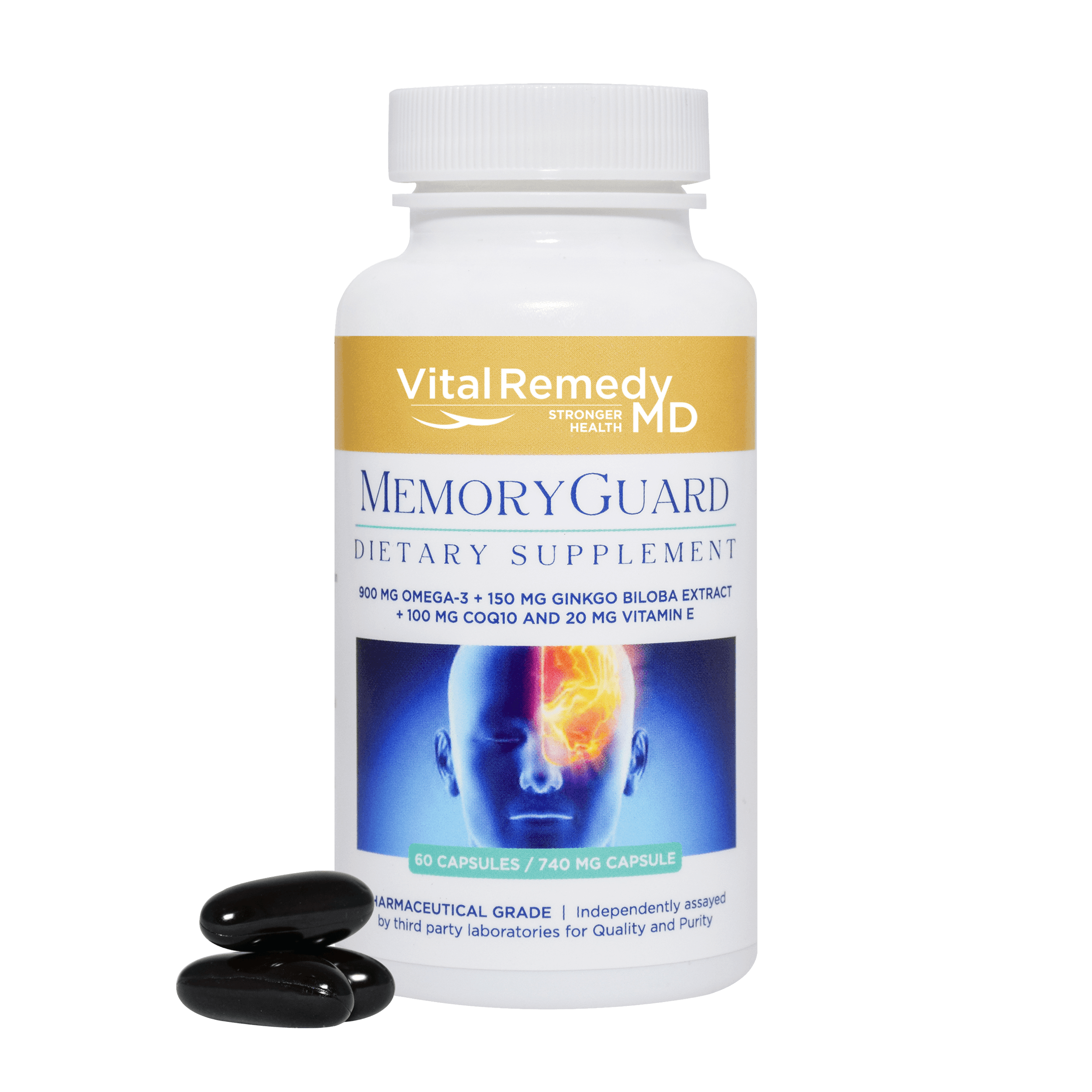 Ginkgo biloba Extract and Risk of Bleeding - VitalRemedyMD 