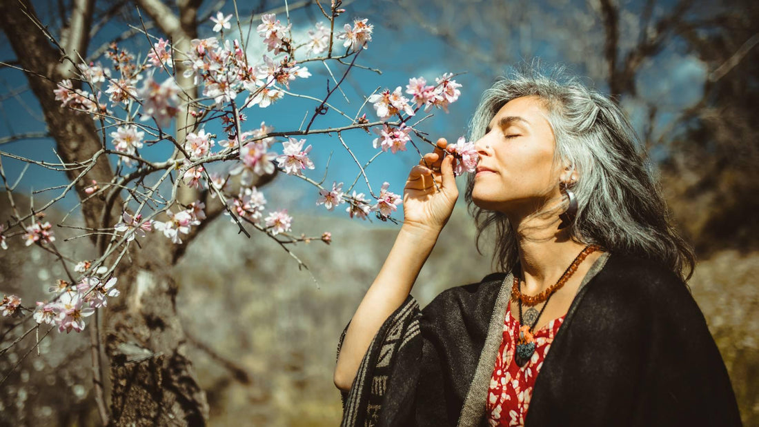 The Impact of Nature on Mental Health: Enhancing Well-being Through Connection with the Natural World - VitalRemedyMD 