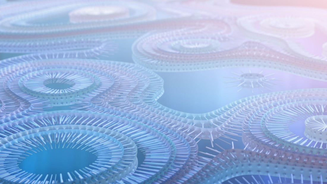 Understanding Homocysteine: The Basics - VitalRemedyMD 