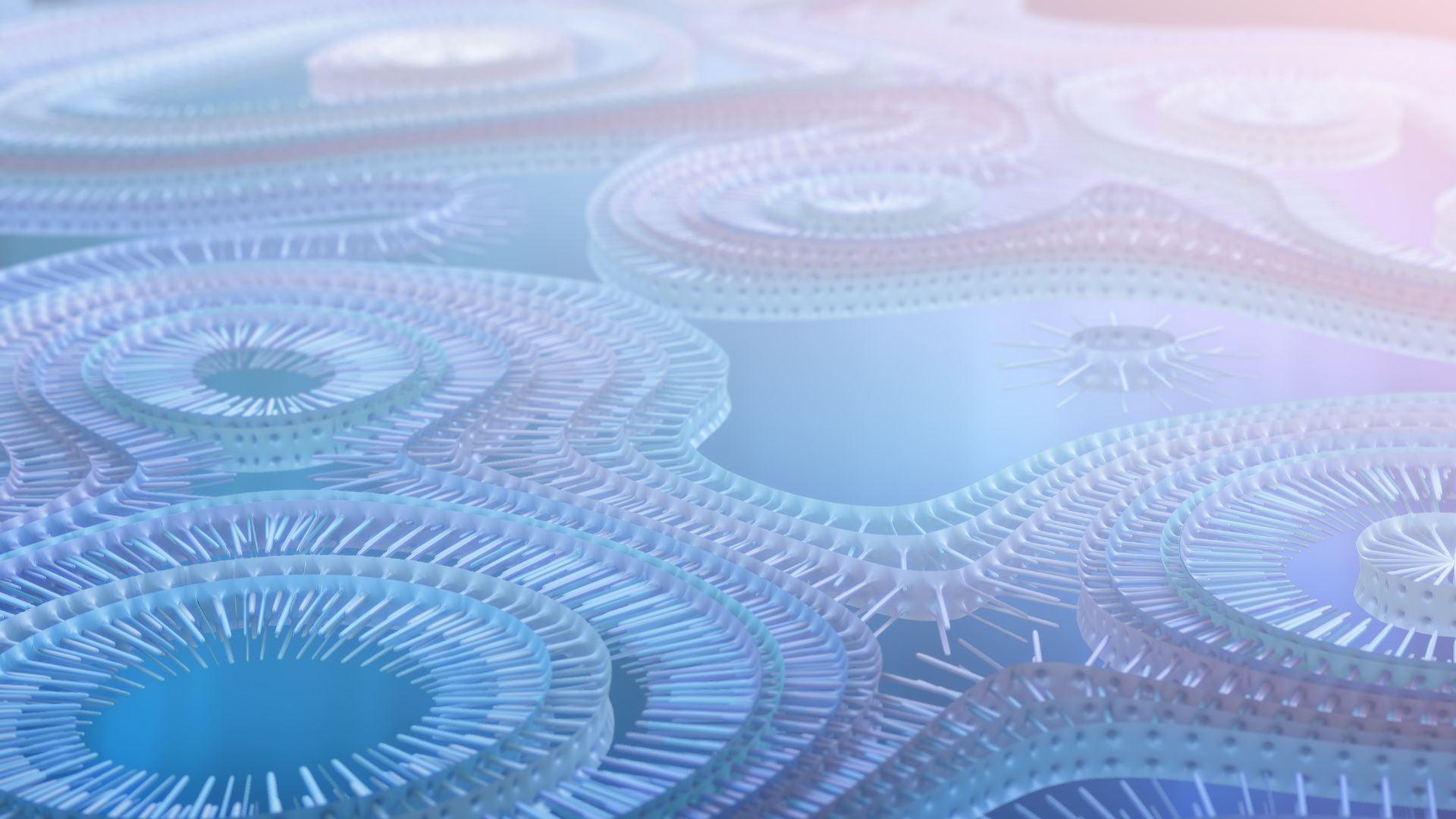 Understanding Homocysteine: The Basics - VitalRemedyMD 