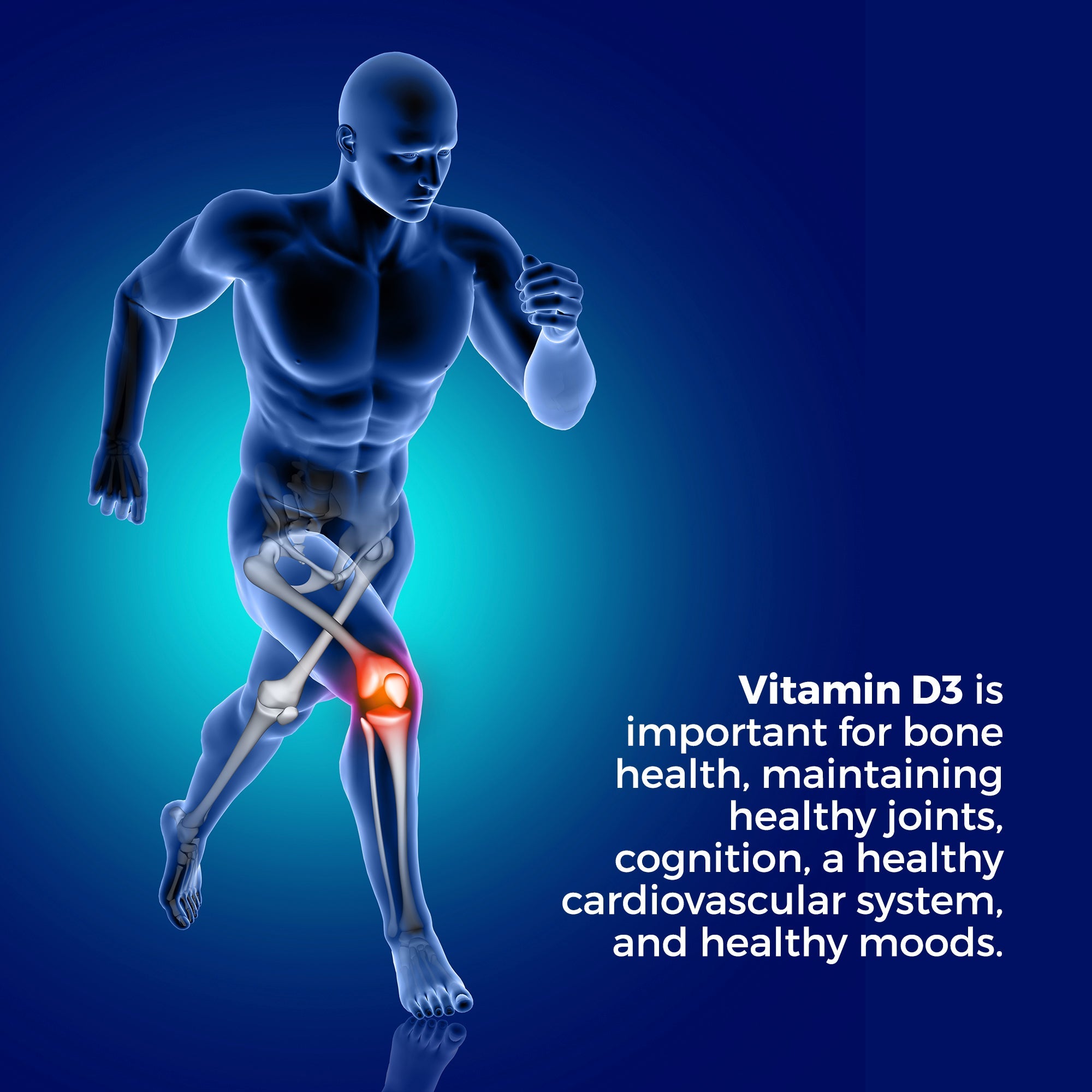 Vegetarian Vitamin D3, 5000 IU, Three months supply (90 capsules) for only $0.28 per day -  10.00% Off Auto renew