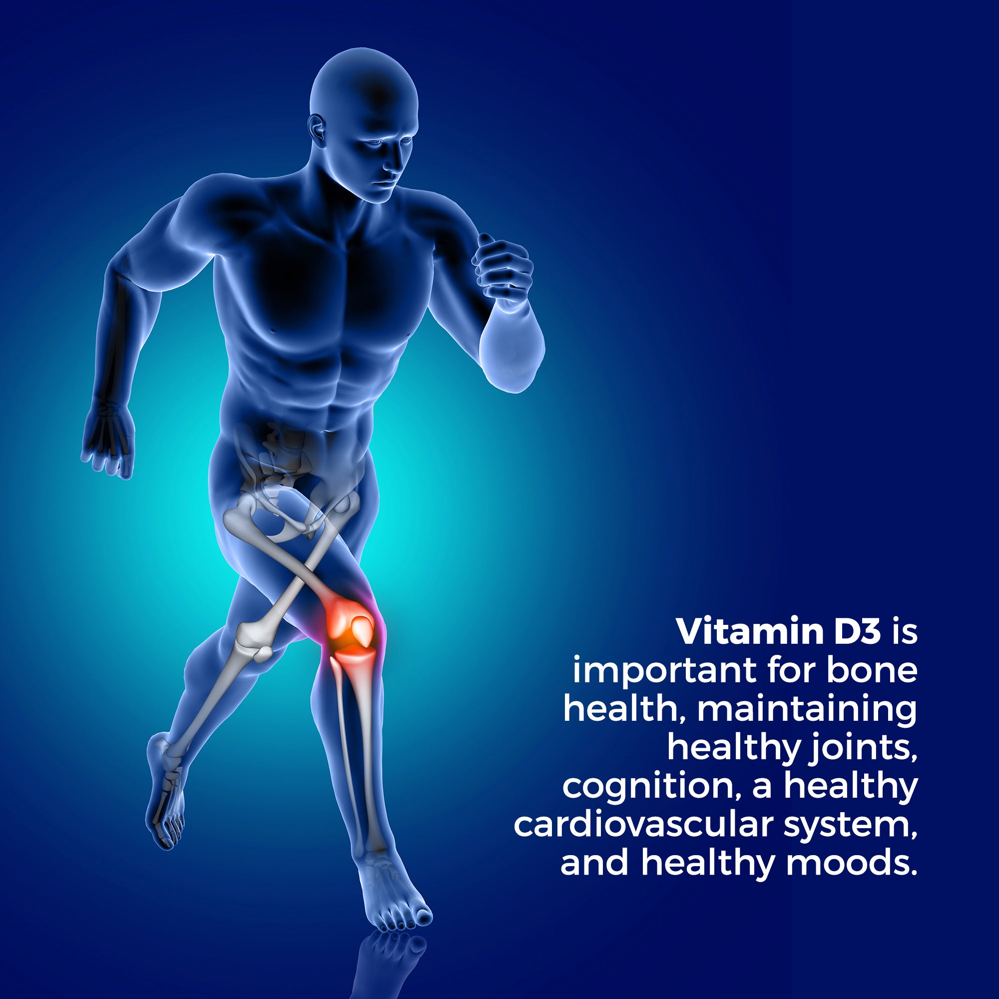 Vegetarian Vitamin D3, 5000 IU