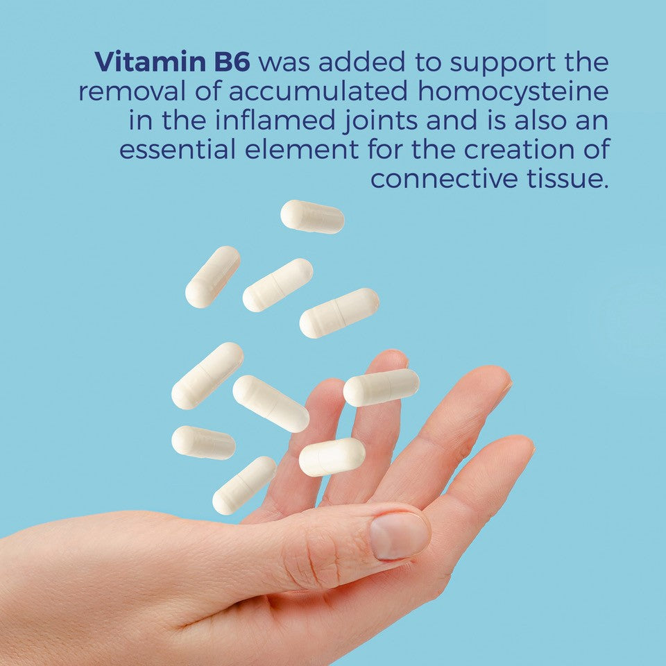 Advanced Bone, Cartilage & Mobility Support - Joint Formula